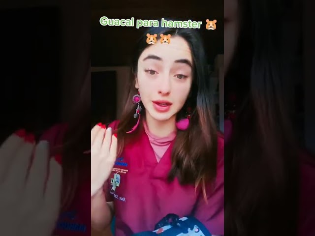 Vídeo relacionado con EAAGHK 6PCS Juguetes para Hamster, Incluye Casa Hamster Madera+Columpio+Puente+Balancín + Juego de Escondite + Cama, Accesorios para Hamster para Conejo, Conejillo de Indias, Animales Pequeños