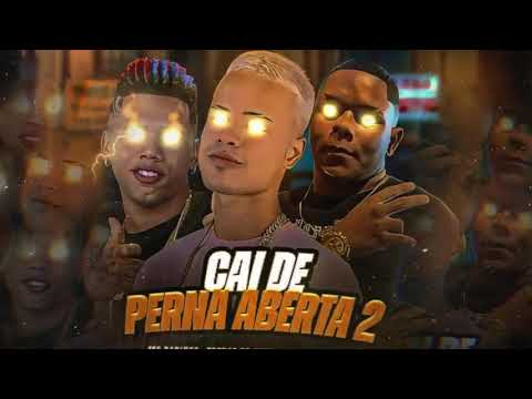 VAI ROLA UMA FESTINHA LA NA MINHA CASINHA CAI DE PERNA ABERTA 2 #bregafunk MC DANINHO