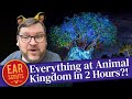 Can We Ride EVERYTHING During Animal Kingdom S New Extended Evening Hours At Walt Disney World
