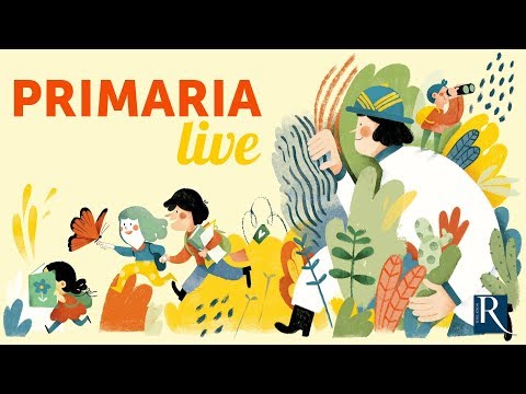 Prenditi cura della tua fantasia. Fare Arte a scuola | Alessandra Falconi