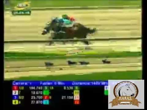 LA RINCONADA 1 CARRERA, VIERNES 20 DE MAYO DEL 2016