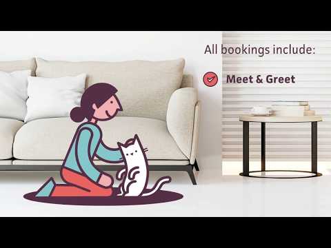 Cat in a Flat: Cat Sitter