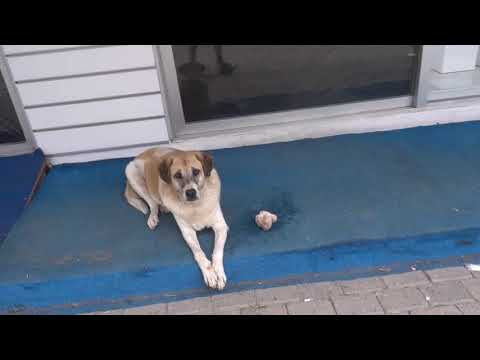 Turgutreis out of season