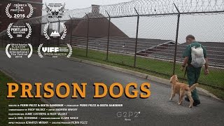 Prison Dogs - Trailer
