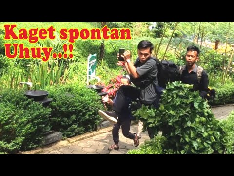 this-man-was-so-shocked-bushman-prank-laughs