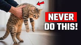 6 Things a CAT Will NEVER Forgive (Most Owners Don’t Know This)