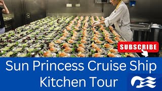 Kitchen Tour of the Sun Princess Cruise Ship! 