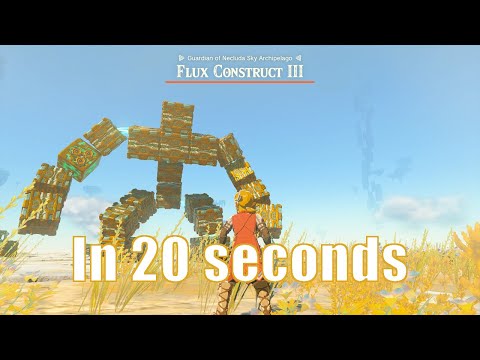How to kill Flux Construct III in 20 seconds