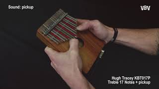 Video thumbnail for Kalimba AMI Hugh Tracey "TREBLE" - 17 notes KBT017P by Woodbrass