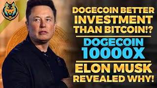 Elon Musk Cryptocurcy Dogecoin Preis heute