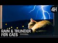 4 Hours Of Sleepy Cats With Rain Thunder Sounds Relaxation Video Play And Chill ️
