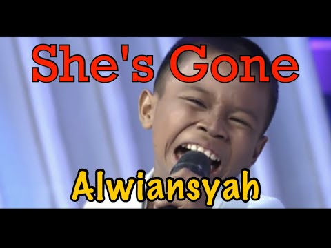 Alwiansyah - She's Gone Cover