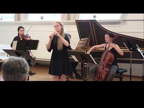 Francesco Geminiani (1687 – 1762) Concerto grosso in F Dur H.135,