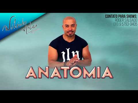 02 - Anatomia