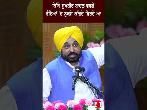 Sukhbir Badal ਵਰਗੇ ਬੰਦਿਆਂ 'ਚ ਨੁਕਸੇ ਕੱਢਦੇ ਫਿਰਦੇ ਆ- CM Bhagwant Mann
