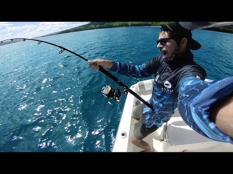 Small boat vs Huge fish