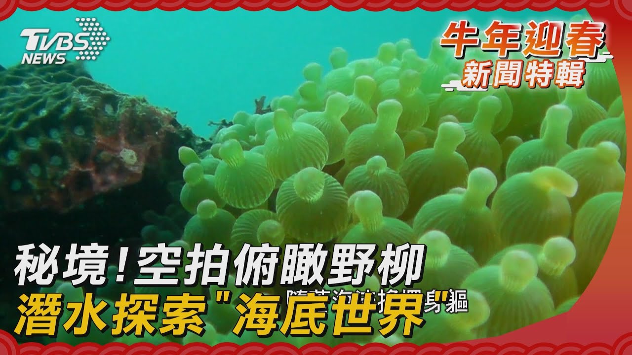 秘境!空拍俯瞰野柳 潛水探索「海底世界」