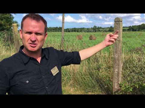 WWII Historian Marty Morgan at La Fiere, France