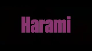 Trailer l BIFF2020 하라미 Harami l 뉴 커런츠