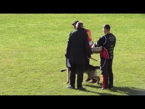 WUSV 2021  ESP 5 - ALBERTO MARTÍNEZ GONZÁLEZ & BLIXTRASPORT'S ASTOR C 93