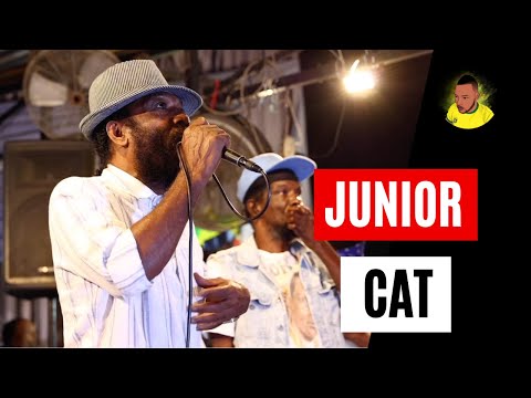 Junior Cat in Rub-A-Dub Style