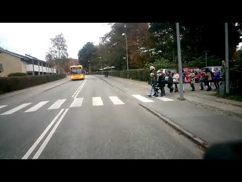 Bus stopper ikke ved fodgængerfelt foran skole. Kgs. Lyngby