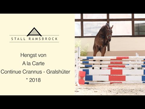 Nr 46 A la Carte x Continus Grannus