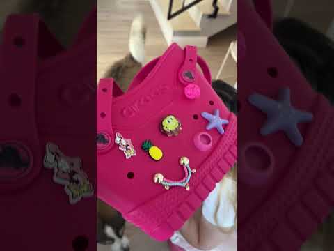 CUM SA II PUI CROCS LA CAINE