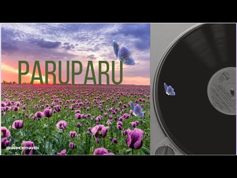 PARUPARO  ( lyrics ) - SUGARCANE, JC Herrero