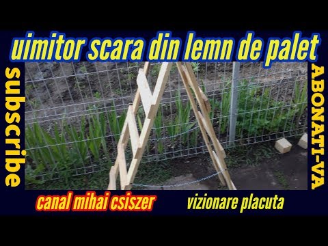 la scară de agilitate pentru pierderea în greutate