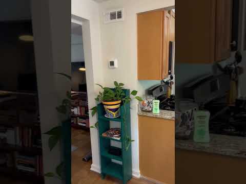 2617 Madison - Video 2 of 2