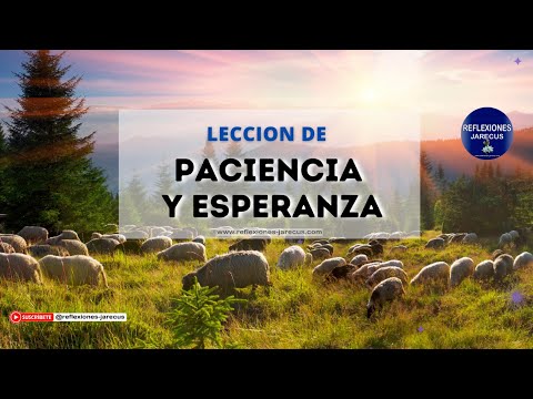 , title : '🐑🌊 Paciencia y Esperanza: La Lección Inspiradora de las Ovejas'