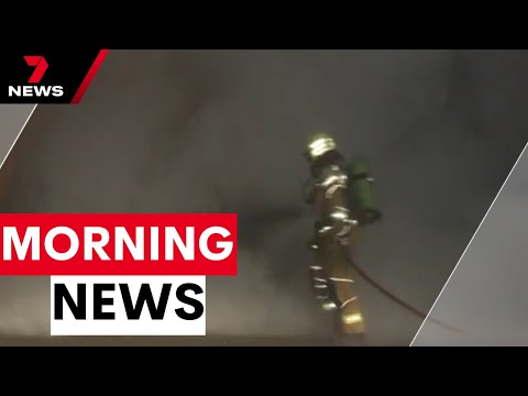 Home invasion, police takedown and Bali Rabies concerns | 7NEWS