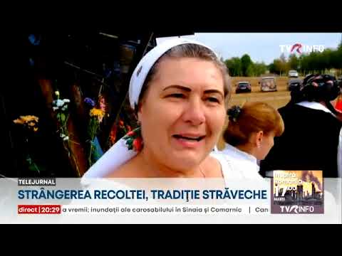 În satul bihorean Șinteu, slovacii reconstituie recoltarea secarei cum făceau străbunii