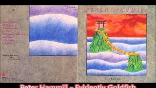 Peter Hammill - Evidently Goldfish