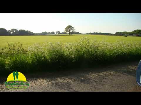 download lagu mp3 mp4 Verlies En Rouwbegeleiding, download lagu Verlies En Rouwbegeleiding gratis, unduh video klip Verlies En Rouwbegeleiding