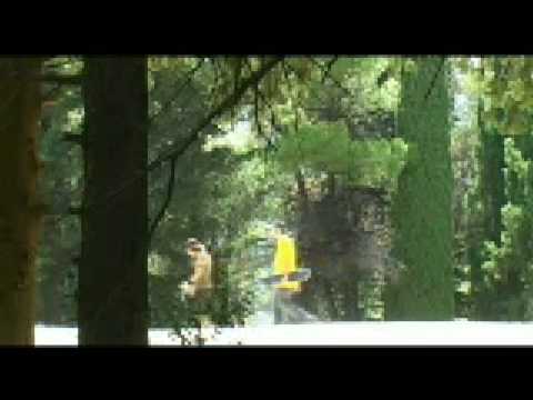 DayDreaming Red Bull Skate Shot video