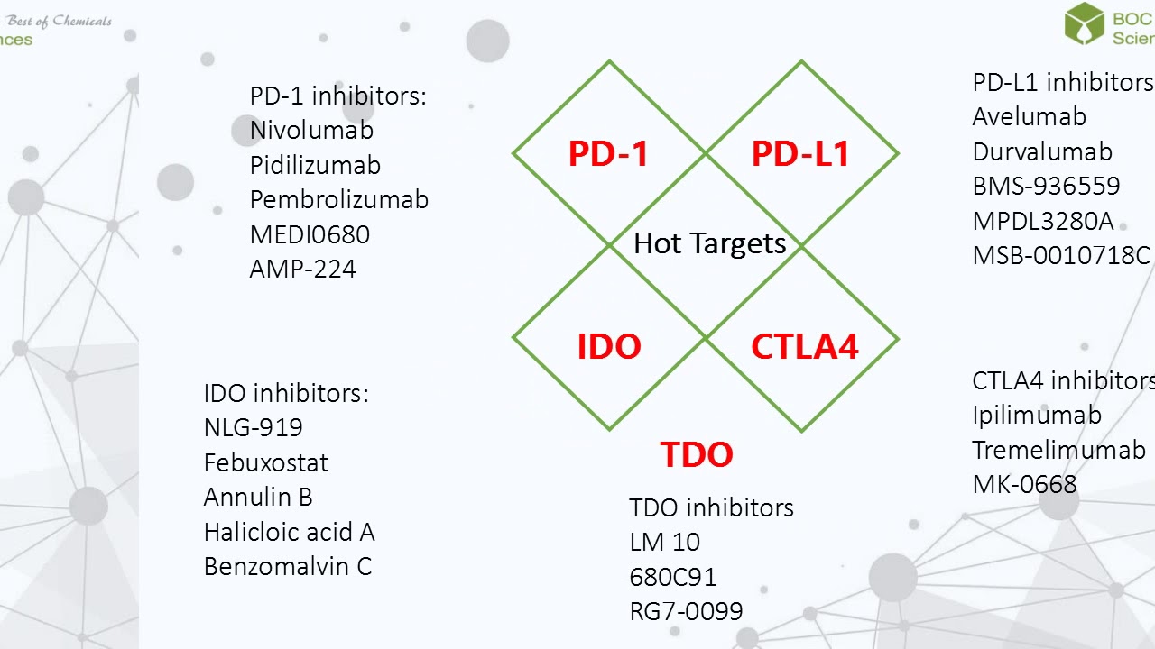 Cancer Immunotherapy - BOC Sciences