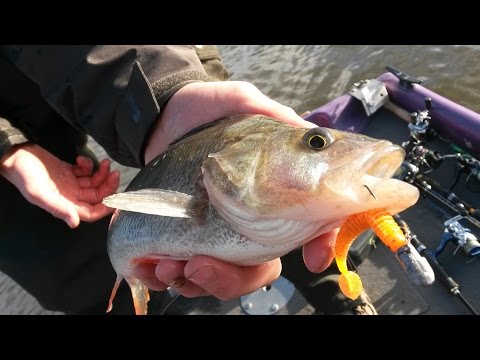 Crazy Fish Vibro Worm 8.5cm 32 Shrimp