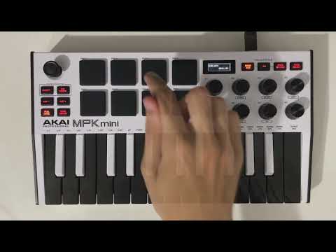 playboi carti - flex (ft. leven kali) [instrumental remake]