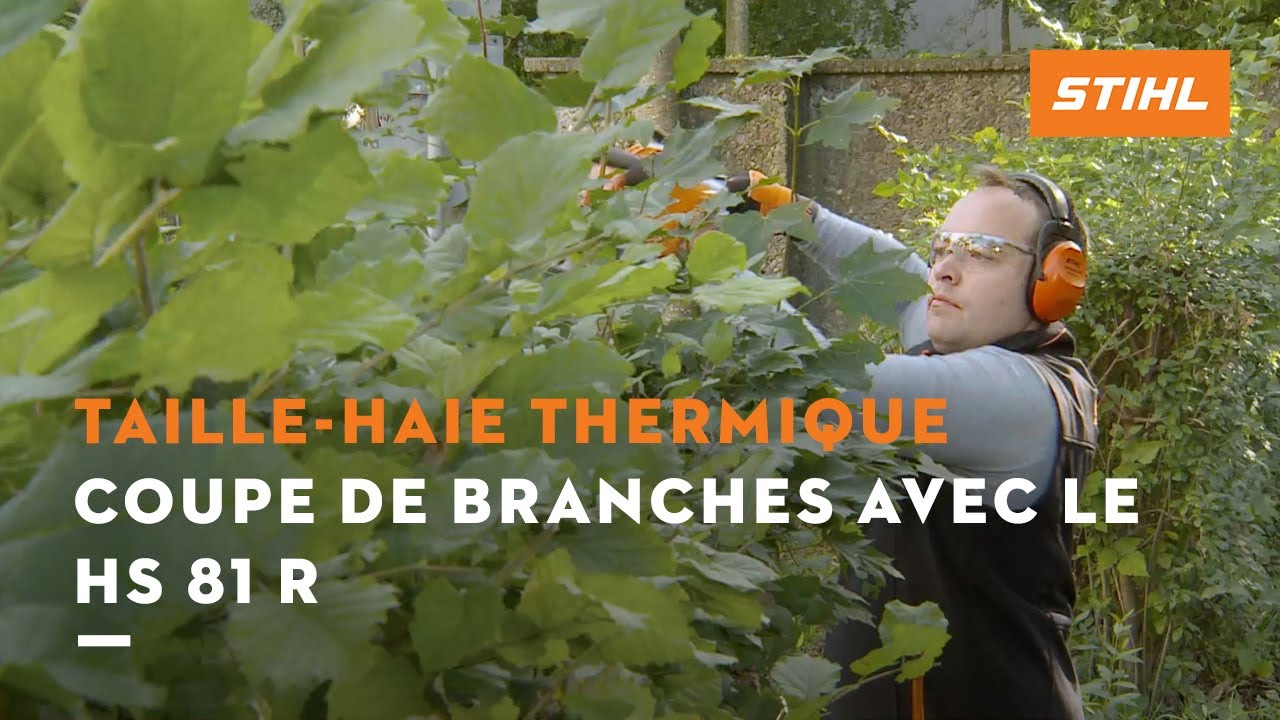 Taille-Haie Thermique HS82R-600mm