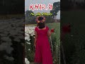 khirai the valley of flowers mednipur contai viralvideo trending khiraiflowergarden drone