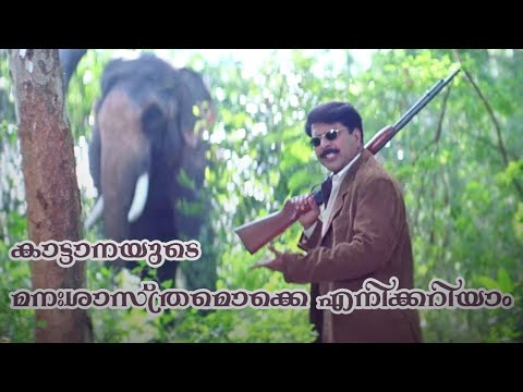 കാട്ടാനയുടെ മനഃശാസ്ത്രമൊക്കെ എനിക്കറിയാം Mammootty, Priya Gill | Megham | Best Comedy Scene