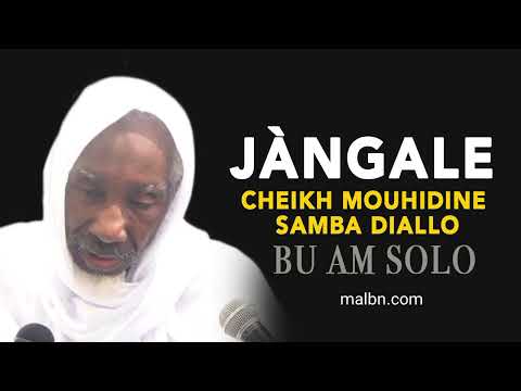 Jàngale Cheikh Mouhidine Samba Diallo bu am solo - @malbntv
