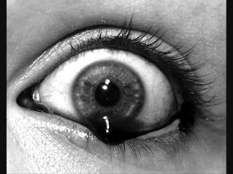 F/A 34: La morte de la maison - Civilized animals