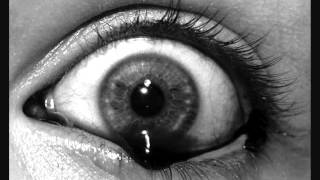 F/A 34: La morte de la maison - Civilized animals