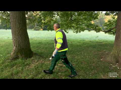 #NeueNatur: Müll im Park