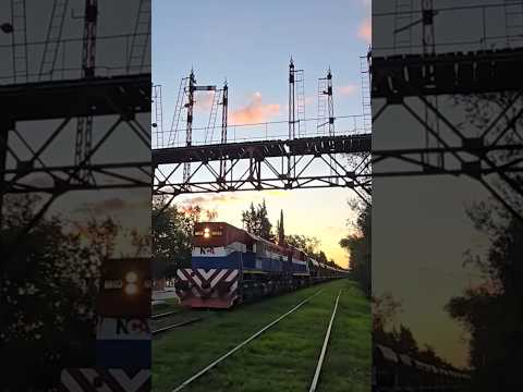 Tren en Villa María, Cordoba