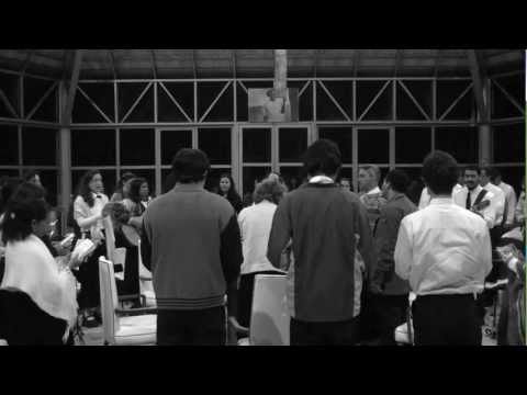 CIRES MIDAM - PERCÍLIA MATOS - FLOR DE JAGUBE