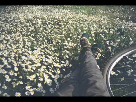 Currituck Co. - The Tropics Of Cancer